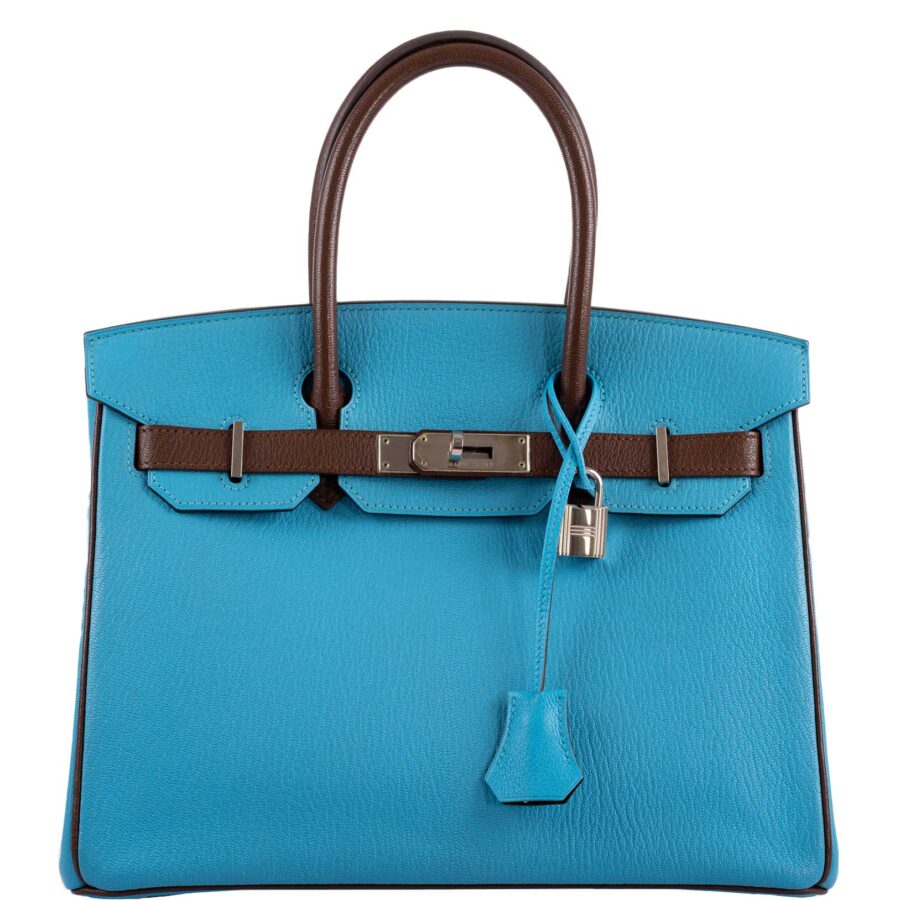 Hermes Birkin bag – front view