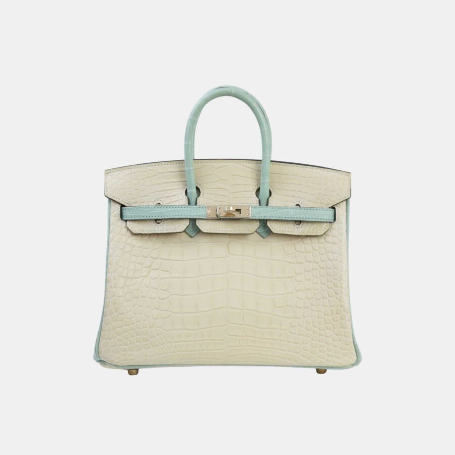 Hermes Birkin bag – front view