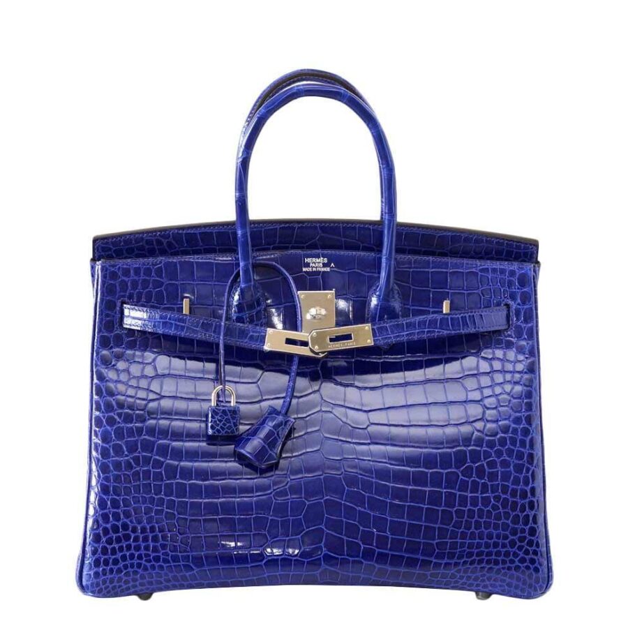 Hermes Birkin bag – front view