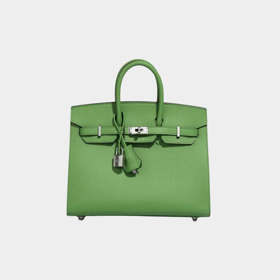 Hermes Birkin bag – front view