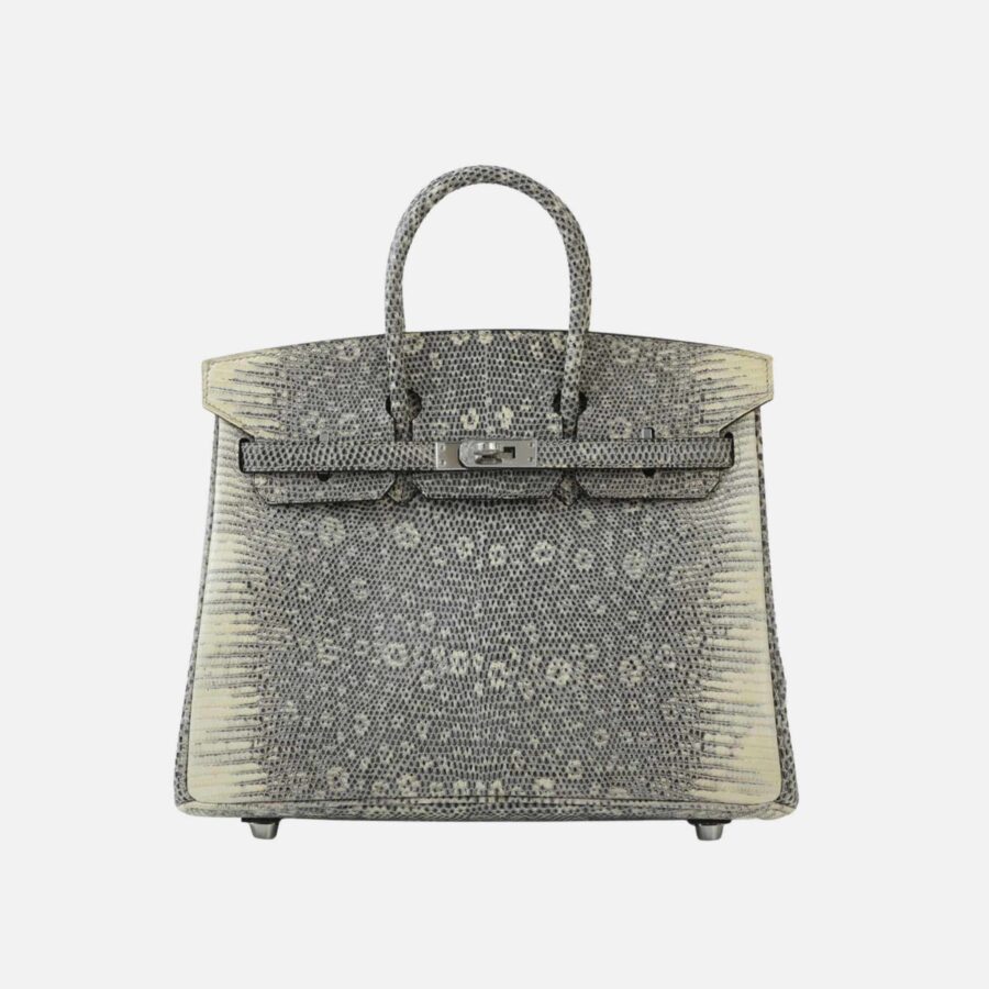 Hermes Birkin bag – front view