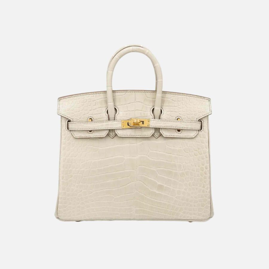 Hermes Birkin bag – front view