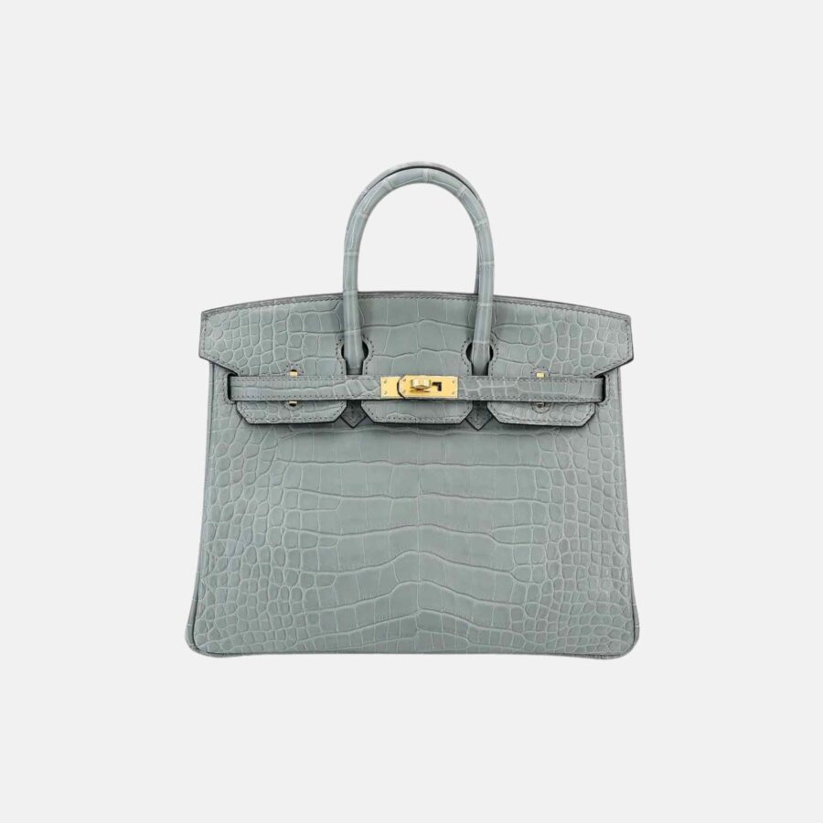 Hermes Birkin bag – front view