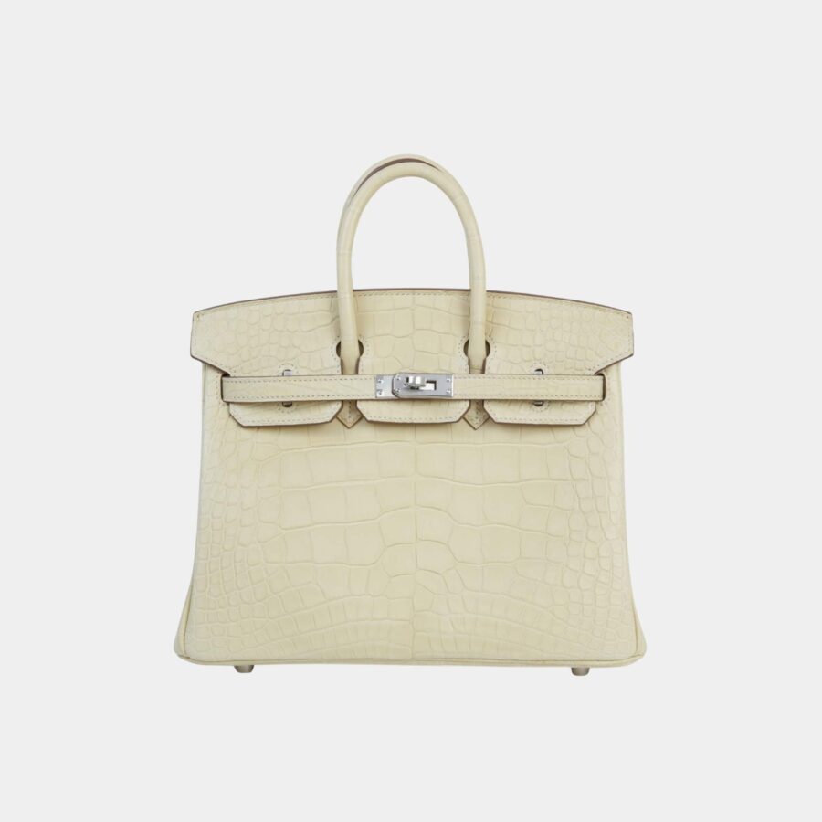 Hermes Birkin bag – front view