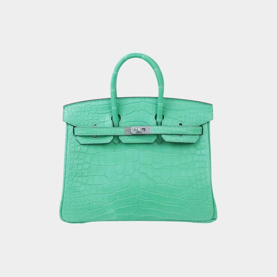 Hermes Birkin bag – front view