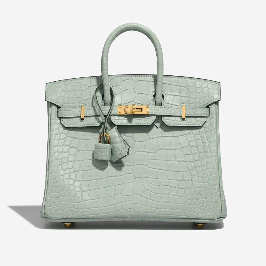 Hermes Birkin bag – front view